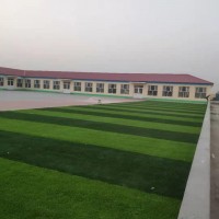 學校足球場草坪幼兒園面填充人造草